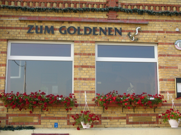 IMG-GALLERY